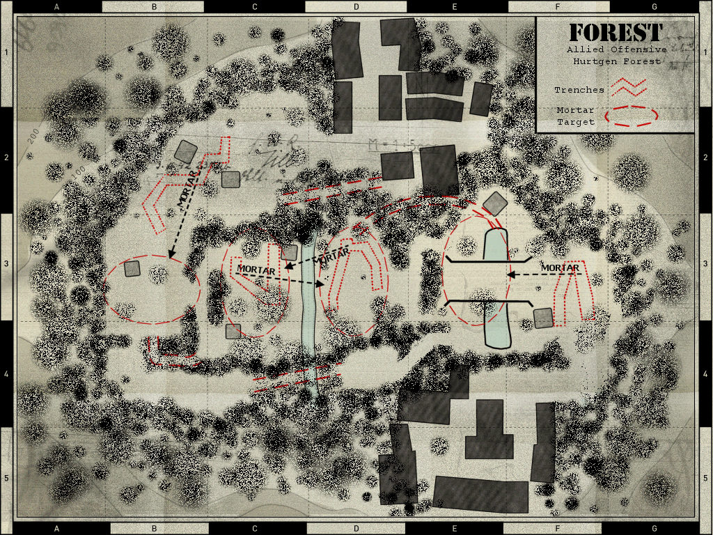 forest